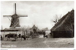 Ermelo Molen Koe Boerderij 4522 - Ermelo