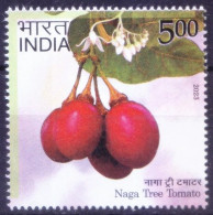 India 2023 MNH, Naga Tree Tomato.helps Regulate Blood Pressure, Boosts Metabolism - Piante Medicinali
