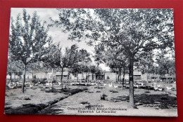 WESTMALLE  -   Cisterciënzer Abdij, Kippenhok  -  Abbaye Cistercienne, Le Poulailler  -  1912 - Malle