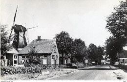 Norg Molen  AM2697 - Norg