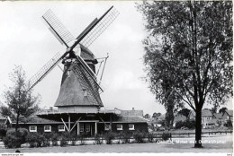 Ommen Molen Met Oudheidkamer AM2633 - Ommen