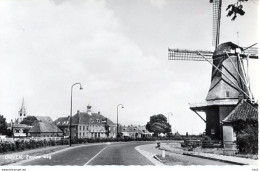 Ommen Zwolse Weg Molen AM2656 - Ommen