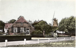 Ermelo Molen AM2684 - Ermelo