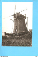 Yerseke Molen M94 - Yerseke