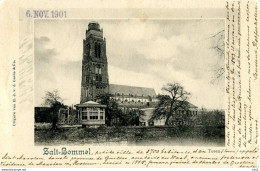 Zaltbommel Kerk Toren AM4921 - Zaltbommel