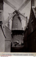 Terneuzen Molen Windlust 3376 - Terneuzen