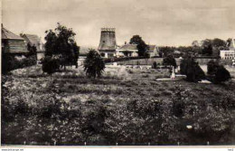 Yerseke Molen 3478 - Yerseke