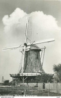 Terschelling Molen AM266 - Terschelling