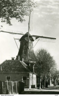 Hoogeveen Molen  AM300 - Hoogeveen