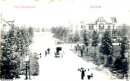 Bussum Prins Hendrikpark AM2113 - Bussum