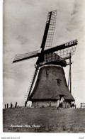 Ameland-Nes Molen 3736 - Ameland