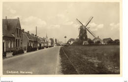 Cadzand Mariaweg Molen Trambaan 1505 - Cadzand