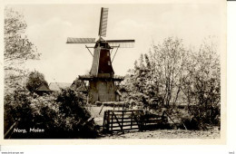 Norg Molen 1731 - Norg