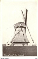 Nes (Ameland) Molen Phenix 2296 - Ameland