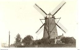 Cadzand Molen 1449 - Cadzand