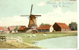 Koog Aan De Zaan Oliemolen De Vogelstruis 3173 - Zaanstreek