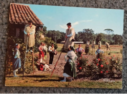 CPSM 40 @ LANDES - CASTETS - Groupe Folklorique Des BECUTS De COUNTIS Devant Une Ferme Landaise En 1972 - Castets