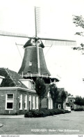 Hoogeveen Molen AM313 - Hoogeveen