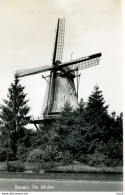 Ermelo Molen AM428 - Ermelo