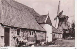 Terschelling Formerum Molen RY 9283 - Terschelling