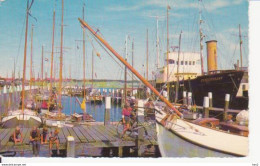 Terschelling Haven RY 9613 - Terschelling