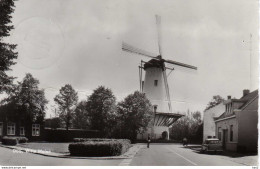 Oss Witte Molen  AM1483 - Oss