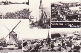 Weesp 6-luik Met Molen  RY 8115 - Weesp