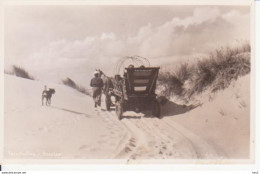 Terschelling Bosplaat Paard En Wagen RY 6886 - Terschelling