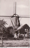 Ede Molen RY 4739 - Ede