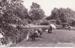 Schiedam Kethel Beatrix Park RY 3486 - Schiedam