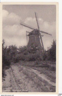 Ommen Besthmer Molen RY 3528 - Ommen