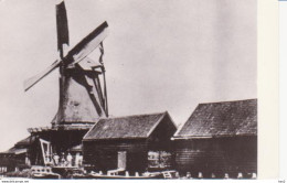 Wormer Verf Molen De Uil RY 4137 - Zaanstreek