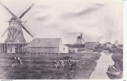 Koog A/d Zaan Pel Molen De St. Jacob RY 4144 - Zaanstreek