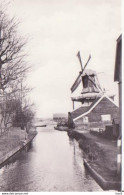 Westzaan Mosterdmolen De Veldbloem RY 4246 - Zaanstreek