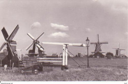 Zaanse Schans Met Molens RY 4249 - Zaanstreek