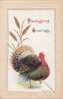 Thanksgiving Greetings, Turkey On Fold-out Image, Fruit (Pineapple Watermelon Grapes) Inside, C1900s Vintage Postcard - Thanksgiving