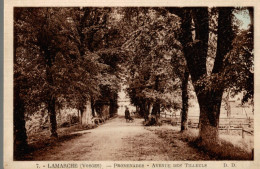 CPA Lamarche Promenades Avenue Des Tilleuls - Lamarche