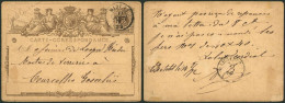 EP Au Type 5ctm Gris Obl Double Cercle Ambulant "Midi VI" (1872) + Griffe Manuscrite Chatelineau > Courcelles-Gosselies - Ambulantes