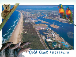 CPSM Gold Coast-Beau Timbre    L2323 - Gold Coast