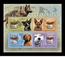 Hungary 2019 - Working Dogs Miniature Sheet Mnh - Nuovi