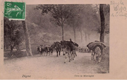 Digne * Vers La Montagne ! * Transport De Marchandises Par Les Mulets * Baudet âne Anes - Digne