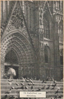 ESPAGNE - De Kathedraal Van Barcelona - Pigeons Sur Les Marches - Carte Postale Ancienne - Barcelona