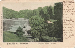 BELGIQUE - Souvenir De Bruxelles - Vue Dans Le Parc à Laeken - Colorisé -  Carte Postale Ancienne - Plätze