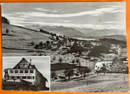 LANGNAU Am ALBIS - Bergrestaurant Windegg 1954 - Egg