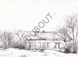 Postkaart/Carte Postale - Herenthout - Kempische Hoeve Heikant (C4763) - Herenthout