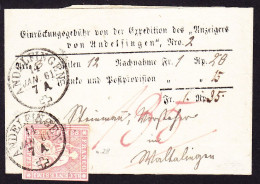 1861 Nachnahme Zeitungsschrift Band. Anzeiger Andelfingen Mit 15 Rp Strubel Marke, 2 Seitig Angeschnitten N. Waltalingen - Covers & Documents