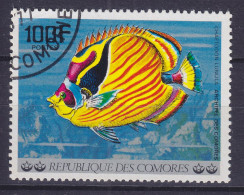 Comores 1977 Mi. 365, Sichelbinden-Falterfisch Fish Poisson (o) - Comores (1975-...)