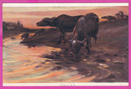 296724 / Hamburg Germany Painter Art Johann Popp - Balkan Pattern Buffalo At Drinking Trough Bull PC D.K. & Co.P. 281 - Taureaux