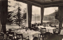 ALLEMAGNE - Titisee - Hotel Am See - Carte Postale Ancienne - Freiburg I. Br.
