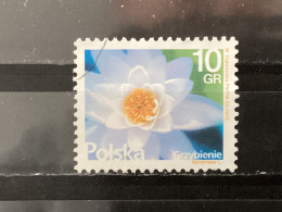 Polen / Poland - Bloemen (10) 2015 - Used Stamps